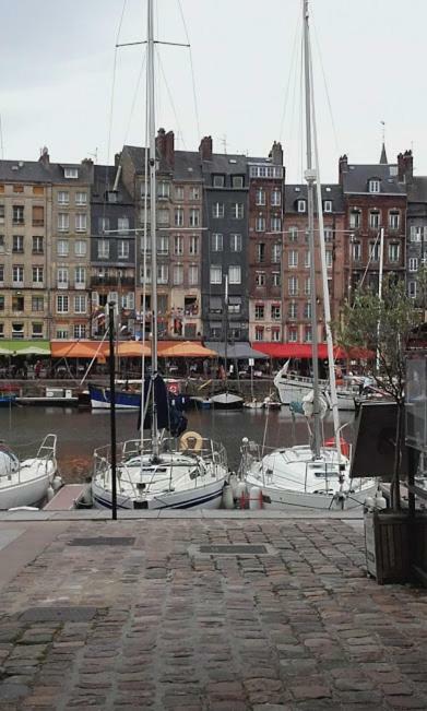 La Fleur D Honfleur Avec Son Parking Apartment Екстериор снимка